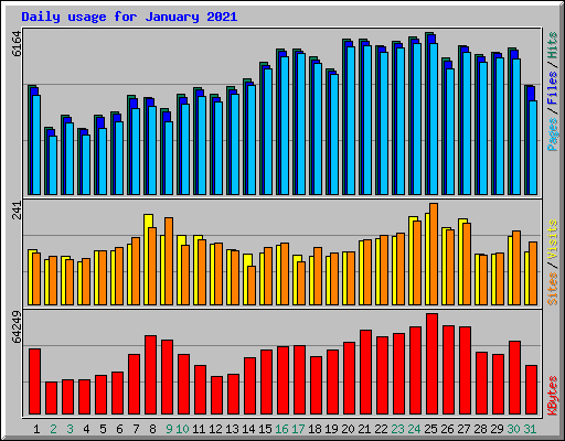 Daily usage for January 2021