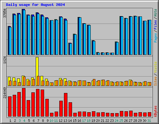 Daily usage for August 2024