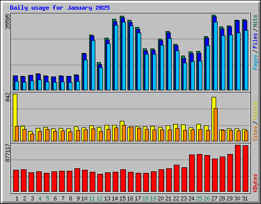 Daily usage for January 2025