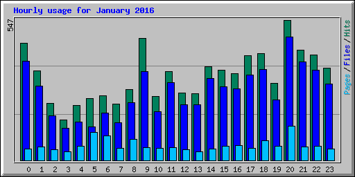 Hourly usage for January 2016