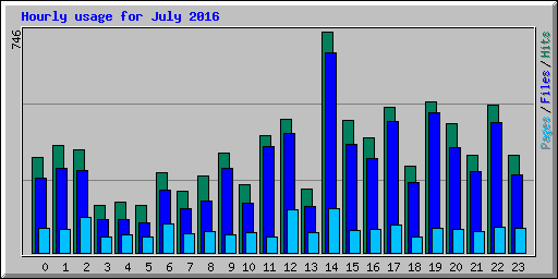 Hourly usage for July 2016