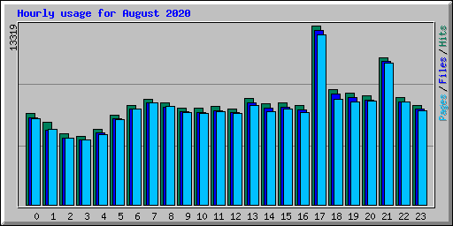 Hourly usage for August 2020