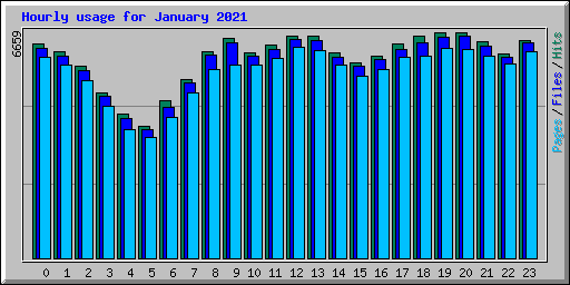Hourly usage for January 2021