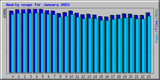 Hourly usage for January 2023