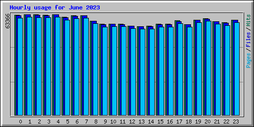 Hourly usage for June 2023