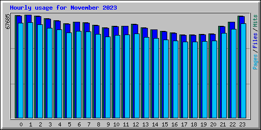 Hourly usage for November 2023