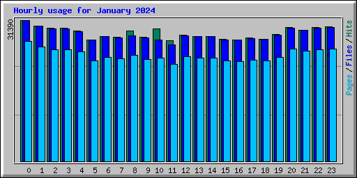 Hourly usage for January 2024