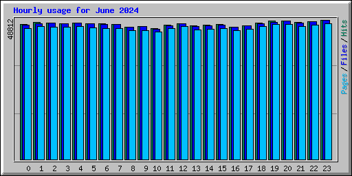 Hourly usage for June 2024