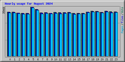 Hourly usage for August 2024