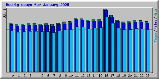 Hourly usage for January 2025