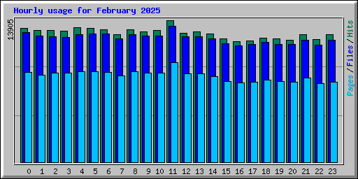 Hourly usage for February 2025