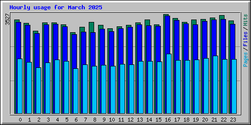 Hourly usage for March 2025