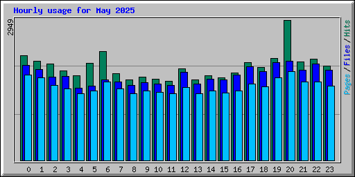 Hourly usage for May 2025