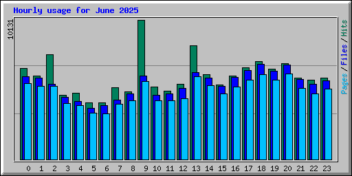 Hourly usage for June 2025