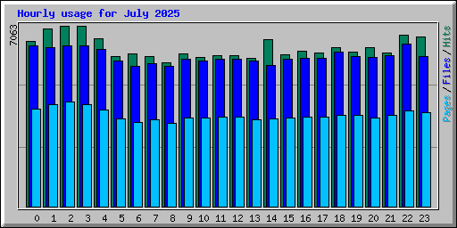 Hourly usage for July 2025