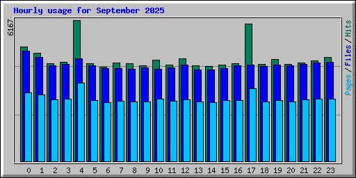 Hourly usage for September 2025