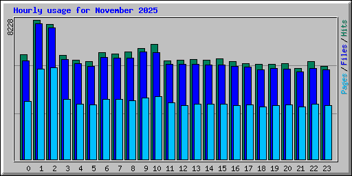 Hourly usage for November 2025
