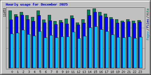 Hourly usage for December 2025
