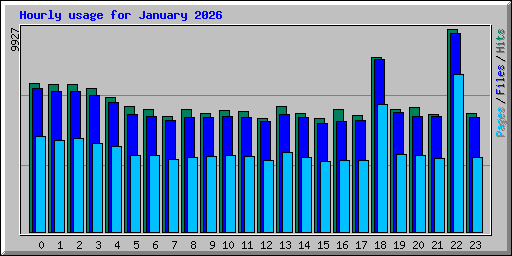 Hourly usage for January 2026