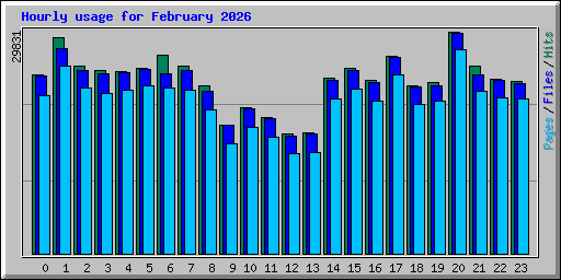 Hourly usage for February 2026